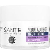 Sante Naturkosmetik - Day- & Night care - Instant Smoothing Night Cream