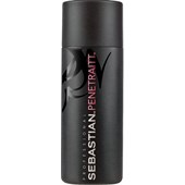 Sebastian - Foundation - Penetraitt Strengthening and Repair Shampoo