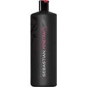 Sebastian - Foundation - Penetraitt Strenghtening and Repair Shampoo