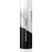 Sebastian - Foundation - Preset Conditioner
