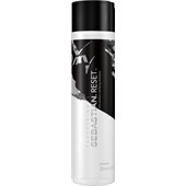 Sebastian - Foundation - Reset Shampoo