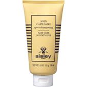 Sisley - Haarpflege - Soin Capillaire Après Shampoo