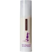 Snowberry - Pflege - Night Cream