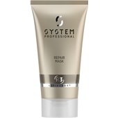 System Professional Energy Code - Repair - Mask R3