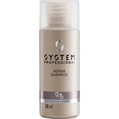 System Professional Energy Code - Repair - Shampoo R1