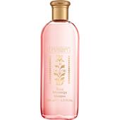 The Merchant of Venice - Rosa Moceniga - Shampoo