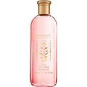 The Merchant of Venice - Rosa Moceniga - Shower Gel