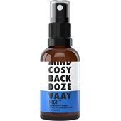 Vaay - Inhalation & Sprays - Night Liposomales Melatonin Spray