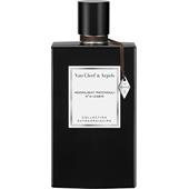 Van Cleef Arpels perfume Buy online parfumdreams