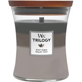 WoodWick - Scented candles - Cosy Cabin