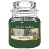Yankee Candle - Stearinlys med duft - Evergreen spray