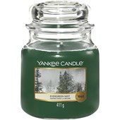 Yankee Candle - Geurkaarsen - Evergreen Mist