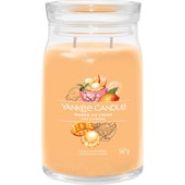 Yankee Candle - Vonné svíčky - Mango Ice Cream