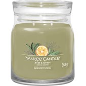 Yankee Candle - Bougies parfumées - Sage & Citrus