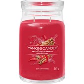 Yankee Candle - Świece zapachowe - Sparkling Cinnamon