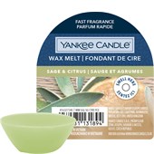 Yankee Candle - Duftwachs - Green Sage + Citrus