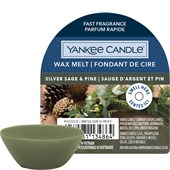 Yankee Candle - Duftwachs - Silver Sage & Pine