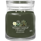Yankee Candle - Velas em copo de vidro - Silver Sage + Pine