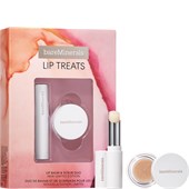 bareMinerals - Spezialpflege - Lip Treats Geschenkset