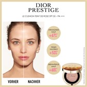DIOR - Base - Prestige Cushion