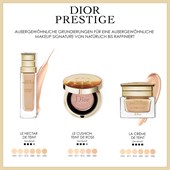 DIOR - Base - Prestige Cushion