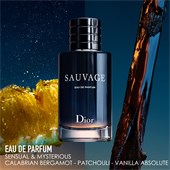 parfumdreams dior sauvage