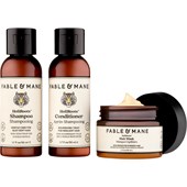Fable & Mane - Haarpflege - Geschenkset