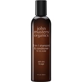 John Masters Organics - Shampoo - 2-in-1 Shampoo & Conditioner