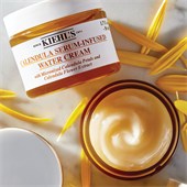 Kiehl's - Seren & Konzentrate - Calendula Serum-Infused Water Cream