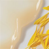 Kiehl's - Seren & Konzentrate - Calendula Serum-Infused Water Cream