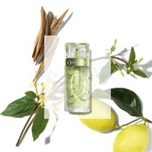 Lancôme - Ô de Lancome - Eau De Toilette Spray