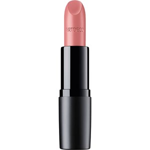 ARTDECO - Lipgloss & Lippenstift - Perfect Mat Lipstick