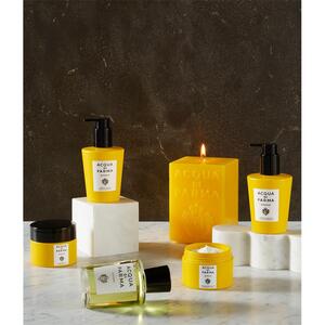 acqua di parma grooming cream light hold