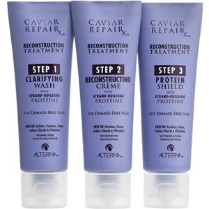 Alterna - Repair - RX Reconstruction Treatment Kit