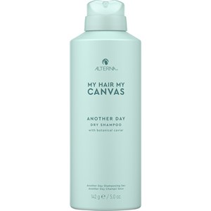 Alterna My Hair My Canvas Styling Another Day Dry Shampoo 142 G