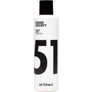Artègo - Good Society - 51 Specials Shiny Grey Shampoo