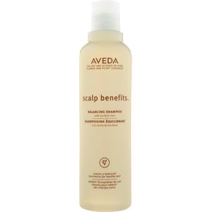 Aveda - Shampoo - Scalp Benefits Balancing Shampoo