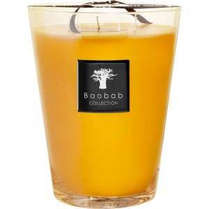 Baobab - All Seasons - Scented Candle Zanzibar Spices