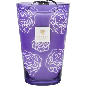 Baobab - Duftkerzen - Kerze Roses Dark