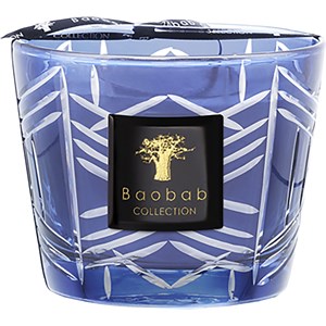 Baobab - High Society - Scented candle Swann