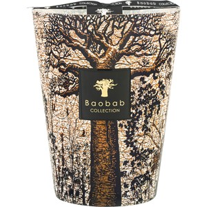 Baobab - Sacred Trees - Kerze Morondo