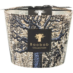 Baobab Sacred Trees Kerze Seguela Max 16 1100 G
