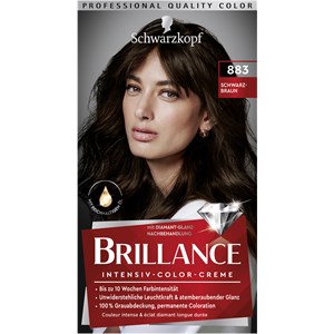 Brillance Soin Des Cheveux Coloration 883 Brun Noir Niveau 3 Crème Colorante Intense 160 Ml