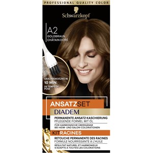 Diadem - Coloration - A2 Gold Brown Level 3 Retouch spray