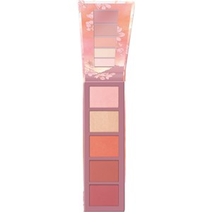 Essence Teint Rouge Peachy BLOSSOM Blush & Highlighter Palette 15 G