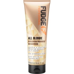 Fudge Shampoo Colour Boost Unisex