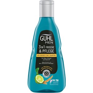 Guhl - Shampoo - Men 3in1 Frische & Pflege Belebendes Shampoo