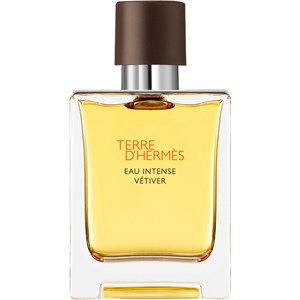 Hermès Terre D'Hermès Eau De Parfum Spray Herren