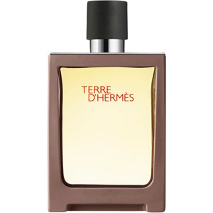 Hermès - Terre d'Hermès - Eau de Toilette Spray