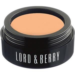 Lord & Berry Make-up Teint Flawless Poured Concealer Amber 2 G